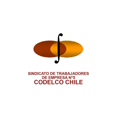Logo Sindicato N5